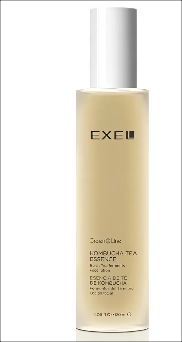 Esencia de Te de Kombucha